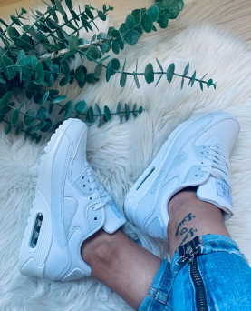 Rapter-b733-41-wh-3641