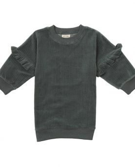 Petit Piao Dress Sweat Velvet