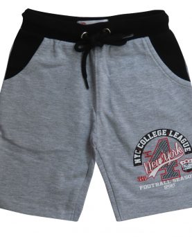 Attitude Drenge Shorts Light Grey