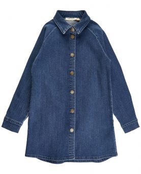 Soft Gallery Frederique Denim Shirt Dress