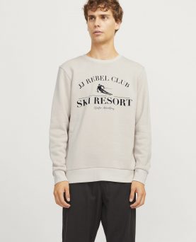 JREBANDREW SWEAT CREW NECK - MOONBEAM