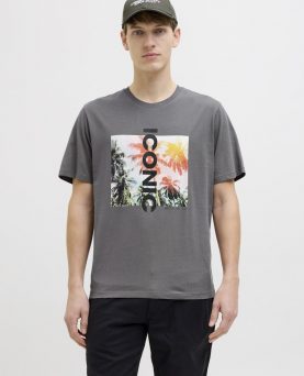 JREBLARRY TEE SS CREW NECK CASTLEROCK